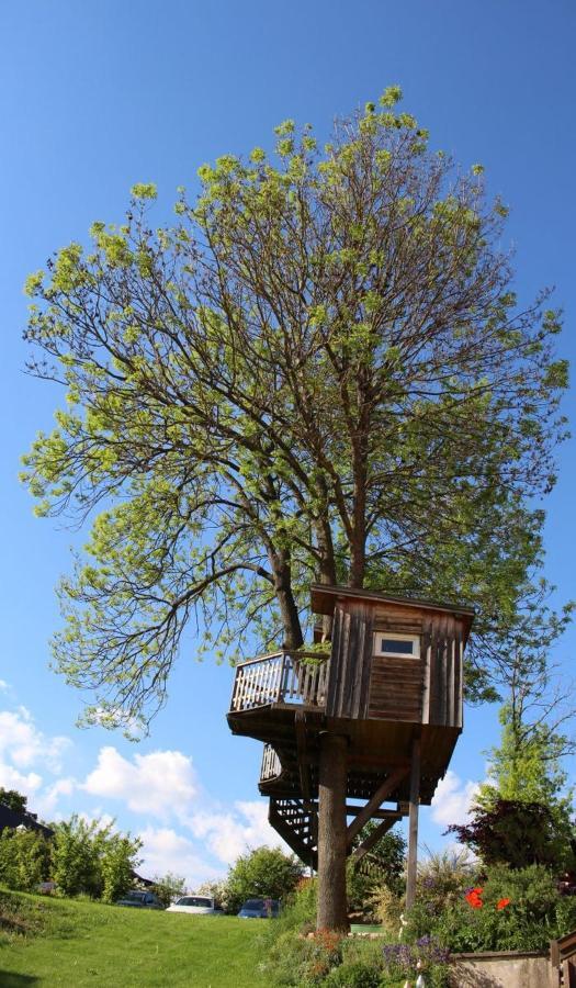 Апартаменты Urlaub Am Bauernhof Weichselbaum Schloss Rosenau Экстерьер фото